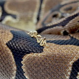 Serpent Studs
