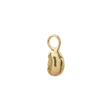 The Luckiest Bean Charm