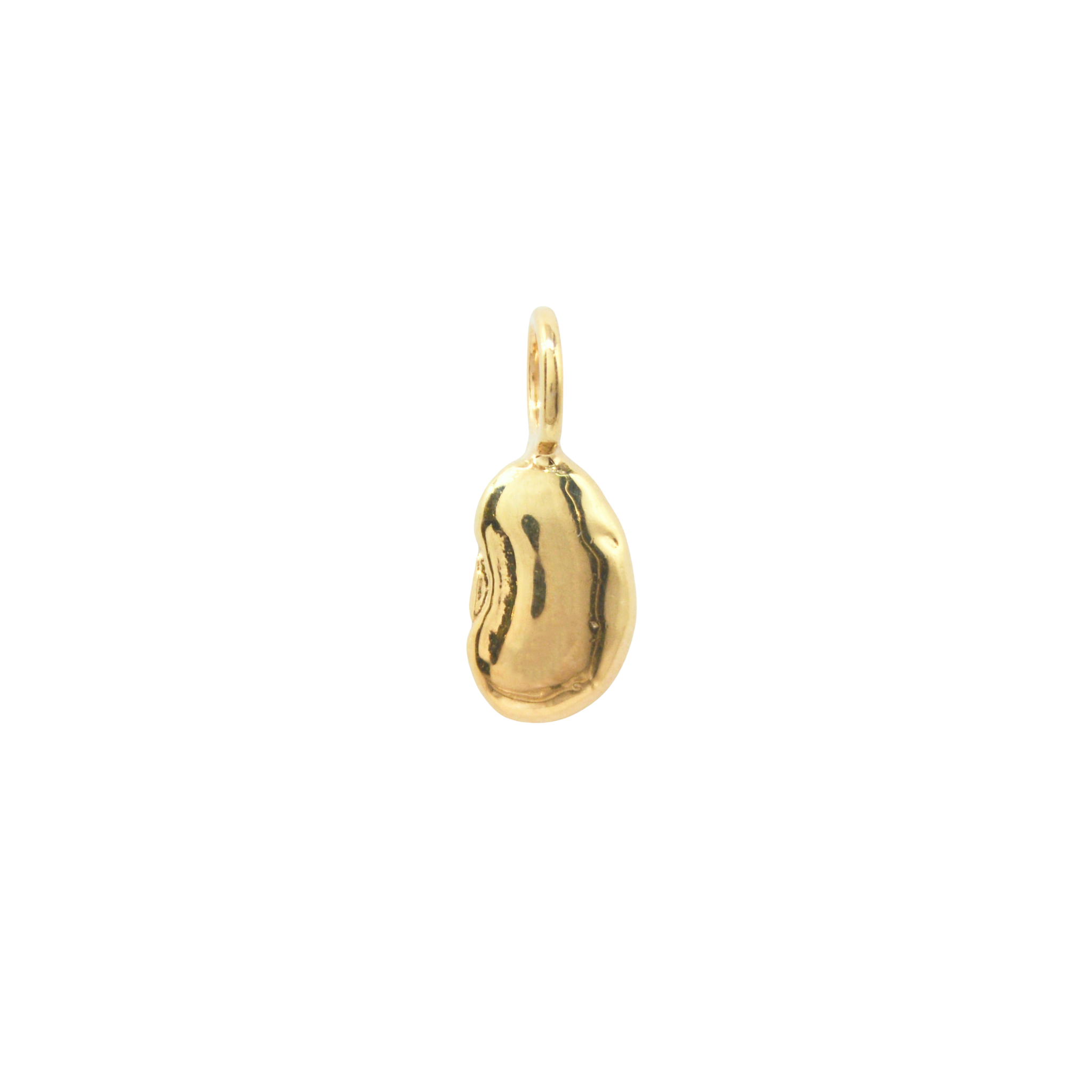 The Luckiest Bean Charm