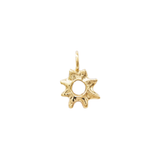 The Brightest Star Charm