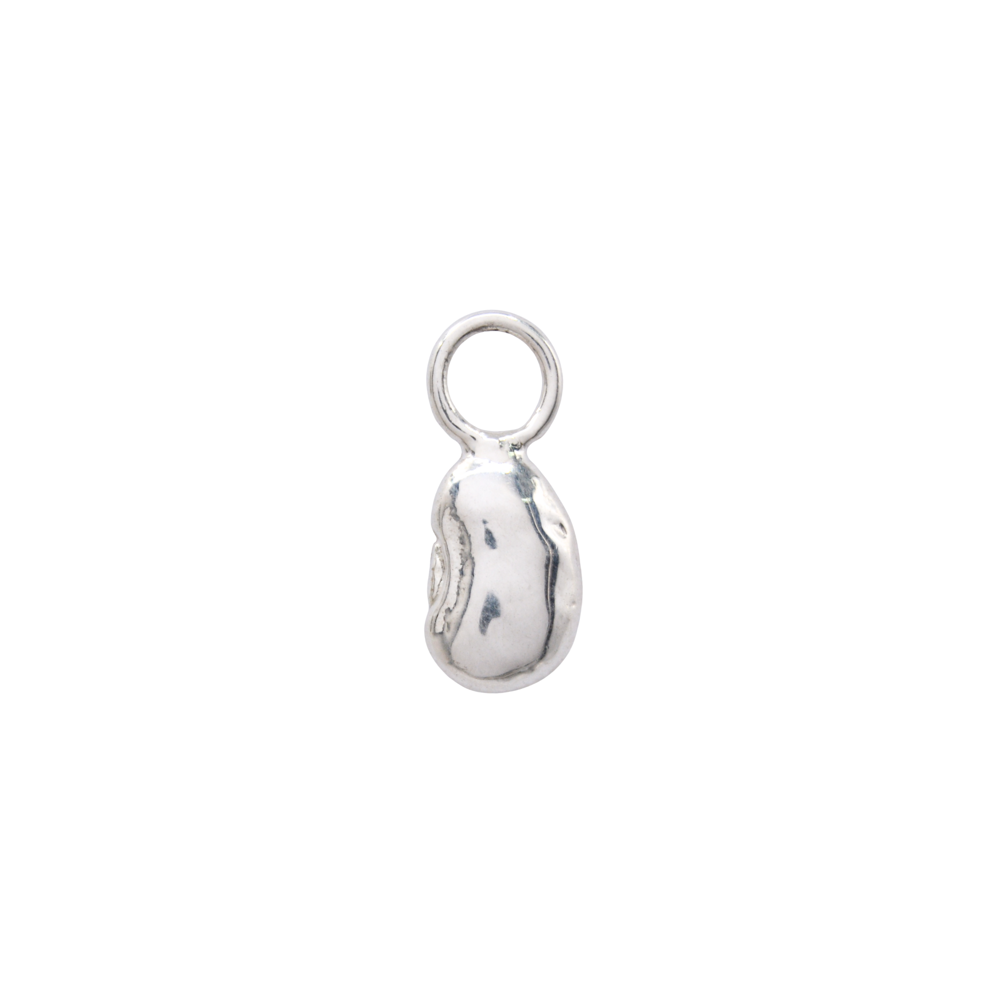 The Luckiest Bean Charm