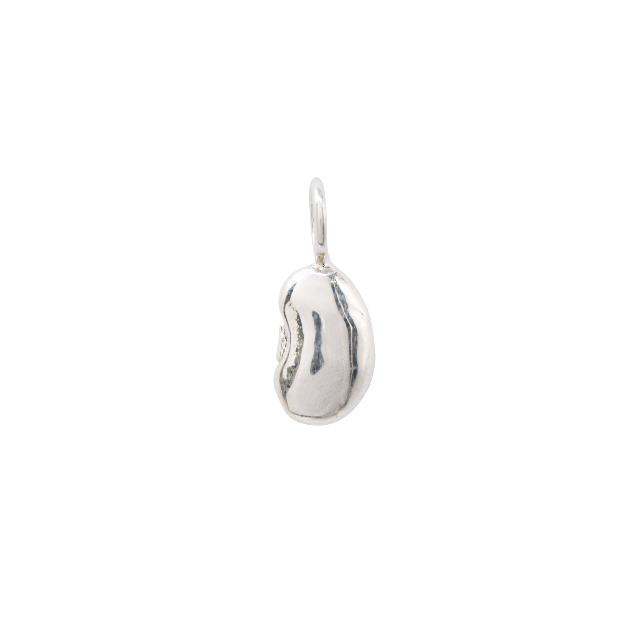 The Luckiest Bean Charm