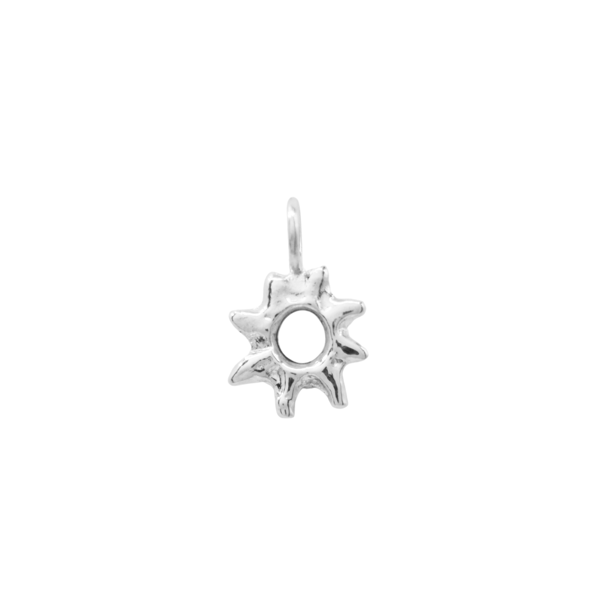 The Brightest Star Charm