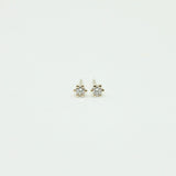 Oh Honey Studs