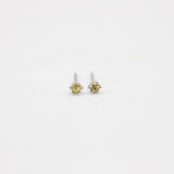 Oh Honey Studs