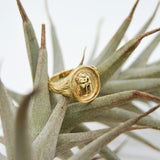 Beetle Safari Signet Ring