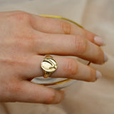 Gold Giraffe Safari Signet Ring