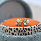 Pearly cluster studs