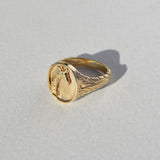 Giraffe Safari Signet Ring