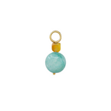Wild Coast Hoop Charm