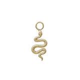 Serpent Hoop Charm
