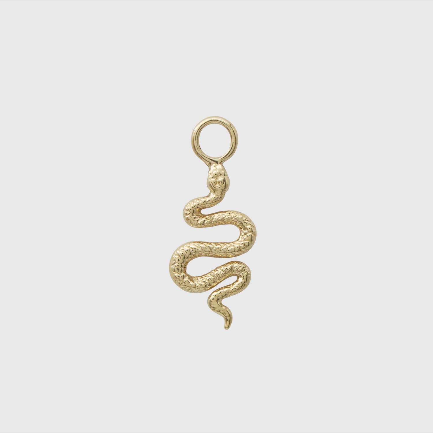 Silver Serpent Hoop Charm