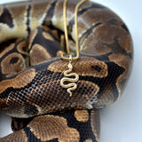 Gold Boa Necklace