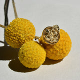 Snake Safari Signet Ring