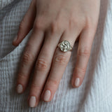 Snake Safari Signet Ring