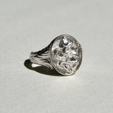 Snake Safari Signet Ring