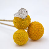 Snake Safari Signet Ring