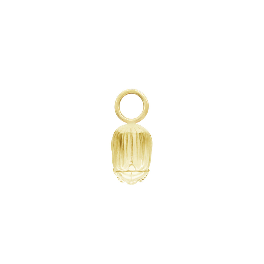 Beetle Hoop Charm